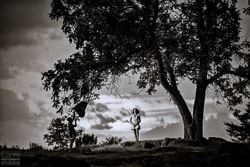 Photographer Favorites